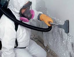 Best Mold Prevention Services  in Krebs, OK